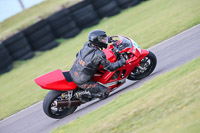 PJ-Motorsport-2019;anglesey-no-limits-trackday;anglesey-photographs;anglesey-trackday-photographs;enduro-digital-images;event-digital-images;eventdigitalimages;no-limits-trackdays;peter-wileman-photography;racing-digital-images;trac-mon;trackday-digital-images;trackday-photos;ty-croes